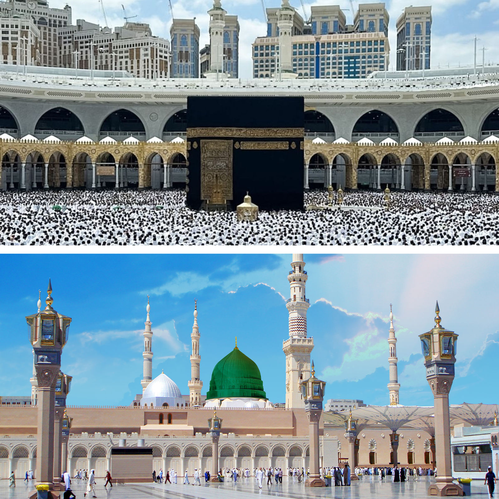 مكة ↔ المدينة المنورة